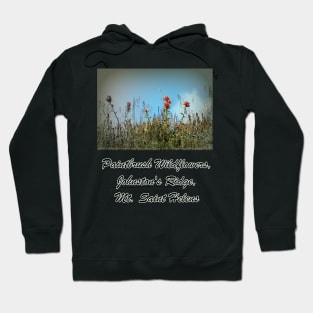 paintbrush wildflowers, Johnston's Ridge Hoodie